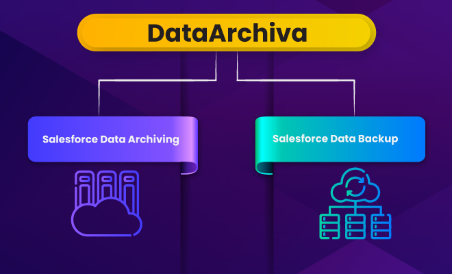 Salesforce data archiving and Salesforce data backup with DataArchiva 