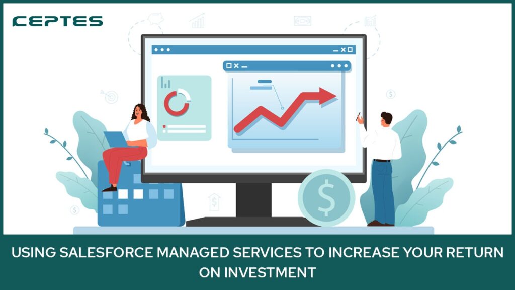 Using Salesforce Managed Services to increase your return on Investment