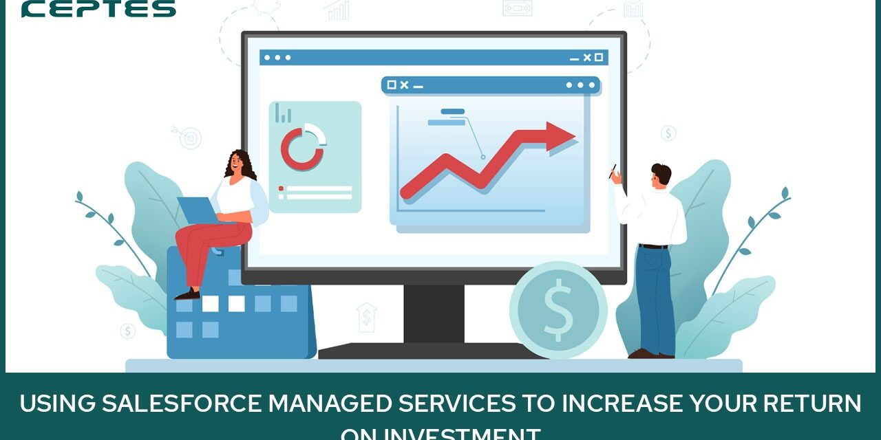 Using Salesforce Managed Services to Increase your Return on Investment